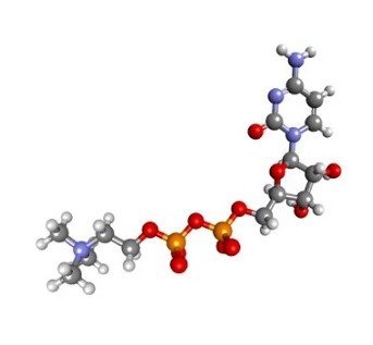 NeuroActiv6